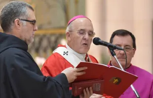 Foto referencial. Cardenal Carlos Osoro, Arzobispo de Madrid (Espau00f1a) / Foto: Archimadrid (Josu00e9 Luis)  