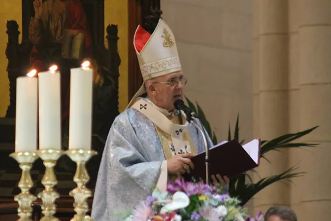 Cardenal propone “solidaridad” como modo de construir la historia