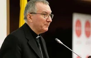El Cardenal Parolin. Foto: ACI Prensa 
