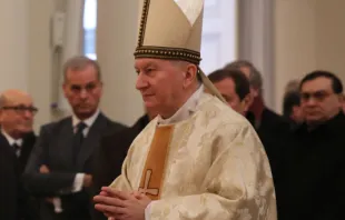 Cardenal Pietro Parolin. Foto: Bohumil Petrik (ACI Prensa) 