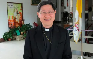 Cardenal Luis Antonio Tagle. Foto Alan Holdren / ACI Prensa 