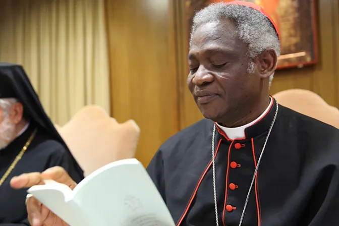 Cardenal Turkson: Laudato Si’ no es una encíclica sobre cambio climático