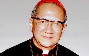 El Cardenal François-Xavier Nguyên Van Thuân / Wikipedia (CC BY-SA 3.0) 