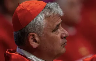 Imagen referencial. Cardenal Konrad Krajewski en el Vaticano. Foto: Daniel Ibáñez / ACI Prensa 