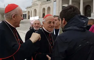 Izquierda a derecha: Arzobispo de Madrid, Cardenal Carlos Osoro, y Arzobispo de Valladolid, Cardenal Ricardo Blázquez Pérez / Crédito: Alexey Gotovsky (ACI Prensa) 