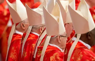 Imagen referencial cardenales. Foto Jeffrey Bruno / ACI Prensa 