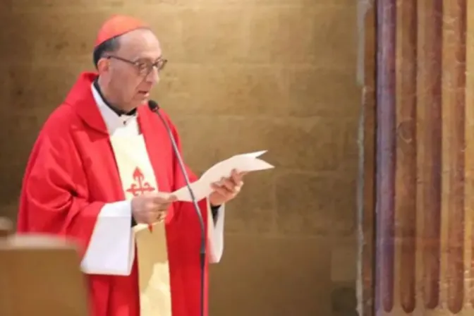 Cardenal afirma que la creación sufre y que hay silencio sobre la crisis ecológica