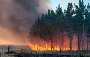 Incendio foresta en la provincia de Corrientes (Argentina) / Crédito: Cáritas Argentina 