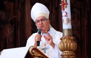 Mons. Carlos Castillo, Arzobispo de Lima / Crédito: ANDINA/Norman Córdova 