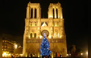 Catedral de Notre Dame en Navidad / Foto: Flickr Groume (CC-BY-SA-2.0) 