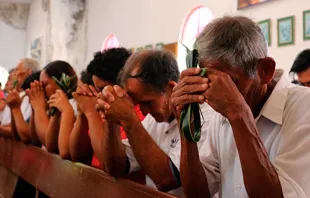 Celebración del Domingo de Ramos en Piura / Foto: Arzobispado de Piura 