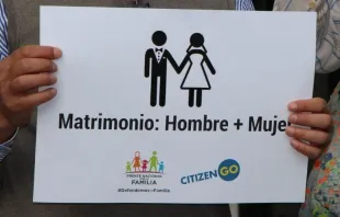 Campaña CitizenGO junto al Frente Nacional por la Familia en México. Crédito: HazteOír. 