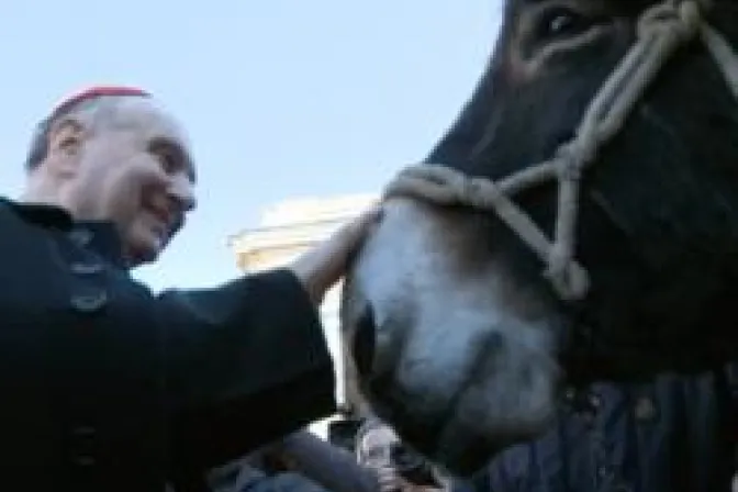 Celebran a San Antonio Abad con bendición de animales en el Vaticano