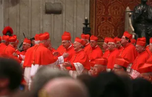 Algunos cardenales en el Consistorio de 2016. Foto: Daniel Ibáñez / ACI Prensa 