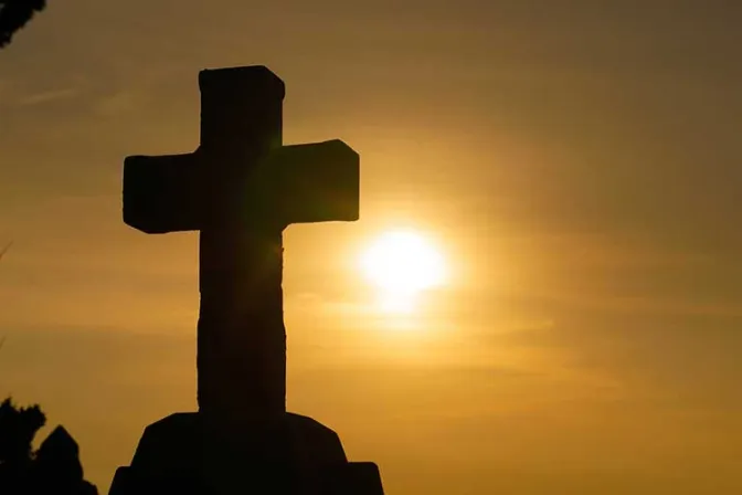 Cardenal asegura que encontró fe y no odio en cristianos perseguidos por terroristas