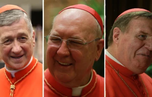 Los tres nuevos cardenales de Estados Unidos: Blase Cupich, Kevin Farrell y Joseph Tobin. Fotos: Daniel Ibu00e1u00f1ez (ACI Prensa) 