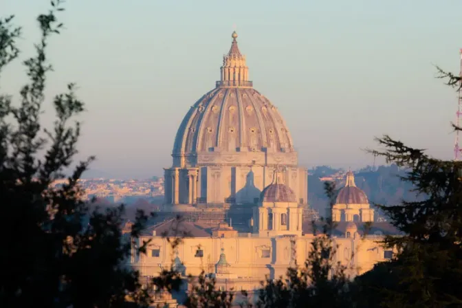Papa Francisco aprueba que inversiones del Vaticano defiendan la santidad de la vida