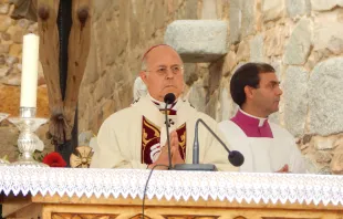 Mons. Ricardo Blu00e1zquez en la Misa del V Centenario de Santa Teresa en u00c1vila (Foto: ACI Prensa) 