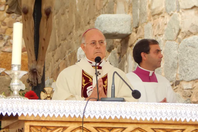 V Centenario de Santa Teresa de Ávila: Su secreto fue el encuentro profundo con Cristo