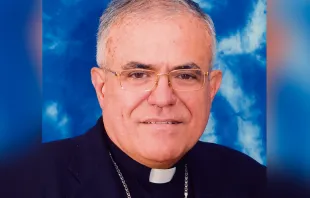 Mons. Demetrio Fernández. Foto: Conferencia Episcopal Española. 