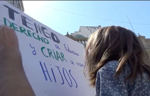 Manifestaciu00f3n por el derecho preferente de los padres a educar a sus hijos. Gentileza: Mi Derecho a Educar. 