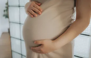 Mujer embarazada. Crédito: Shutterstock 