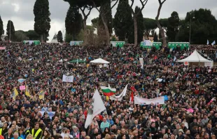 Miles de personas hoy en defensa de la familia en Roma. Foto: Alexey Gotovskiy / ACI Prensa 
