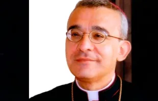Mons. Filippo Iannone, nuevo Presidente del Pontificio Consejo para los Textos Legislativos. Foto: ocarm.org 