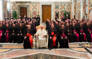 El Papa Francisco y los obispos reunidos en la Sala Clementina del Vaticano. Foto: L'Osservatore Romano 
