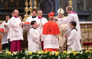 Papa Francisco crea cardenales hoy en la Basílica de San Pedro. Foto: Daniel Ibáñez / ACI Prensa. 