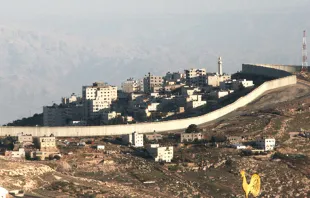 Muro divisorio que separa Israel de los territorios palestinos. Foto: Miguel Pérez Pichel / ACI Prensa 