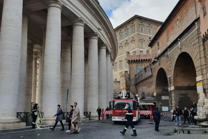 La historia del “gato vaticano” atrapado en la Plaza de San Pedro