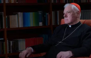 Cardenal Gerhard Müller en entrevista en Cara a Cara. Crédito: Daniel Ibáñez / ACI Prensa. 
