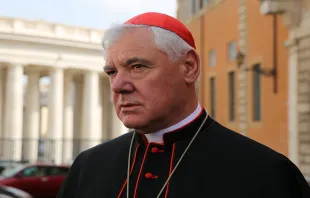 Cardenal Gerhard Müller, Prefecto Emérito de la Congregación para la Doctrina de la Fe. Foto: Daniel Ibáñez / ACI Prensa 