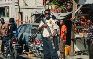 Fuerzas del orden de Haití / Crédito: Francisco Proner / Farpa / CIDH  (CC BY 2.0) 
