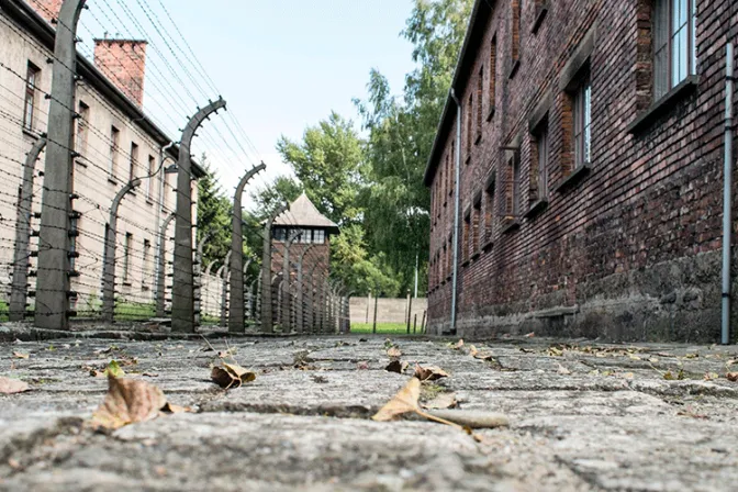 Expertos se enfrentan por supuesto ocultamiento del Holocausto por parte de Pío XII