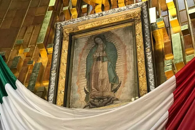 Anuncian diplomado presencial y online sobre “La Verdad de Guadalupe”