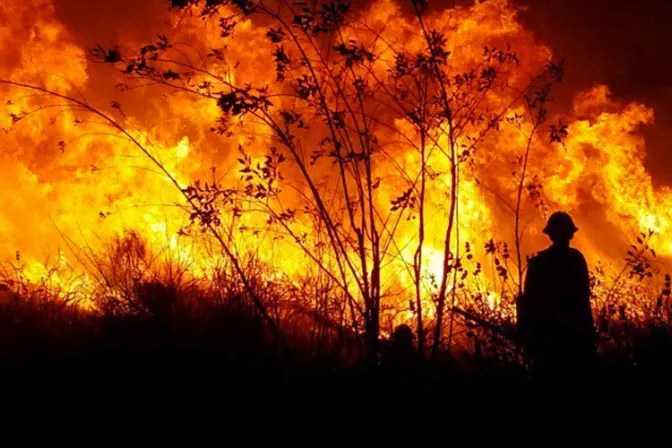 Arquidiócesis de Los Ángeles crea fondo de ayuda para afectados por incendios