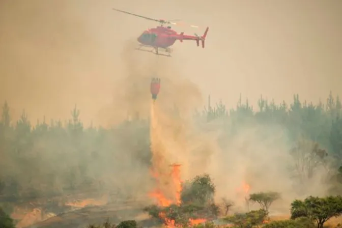 Incendios en Chile: La Iglesia sirve incansablemente ante la tragedia, afirma Obispo