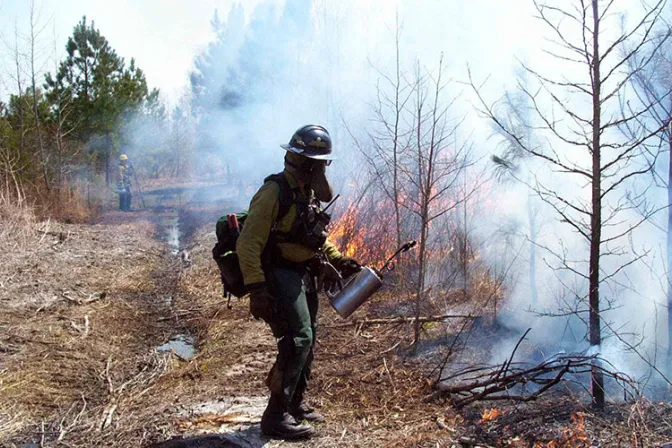 Imágenes de la Virgen llevarán esperanza a poblaciones afectadas por incendios forestales