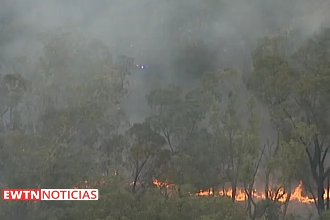 Arzobispo pide donaciones para víctimas de incendios forestales en Australia