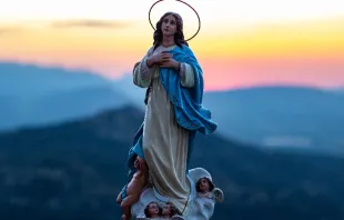 Argentina, Chile y Paraguay celebran a la Inmaculada Concepción. Crédito: Cathopic de rafaelcruzdp 