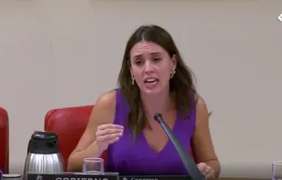 La ministra de Igualdad de Espau00f1a, Irene Montero. Cru00e9dito: Captura Canal Parlamento 