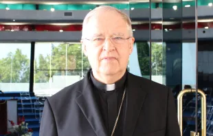 Cardenal Josef Cordes. Foto Álvaro de Juana / ACI Prensa 