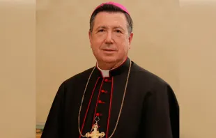 Mons. Juan del Río. Foto: Arzobispado Castrense de España. 