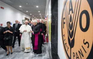 El Papa Francisco a su llegada a la sede de la FAO. Foto: L'Osservatore Romano 