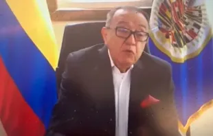 Luis Ernesto Vargas, embajador de Colombia ante la OEA. Crédito: Twitter 