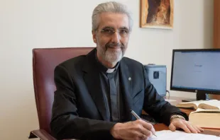 P. Luis Marin de San Martín OSA. Foto: Vatican Media 