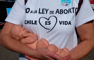 Manifestaciu00f3n Una Hora x la Vida / Diu00f3cesis de SanBernardo  