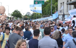 Manifestaciu00f3n contra protocolo del aborto en Buenos Aires. Cru00e9dito: Partido Celeste. 